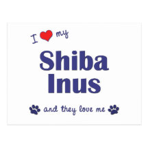 Eu amo meu Shiba Inus (os cães múltiplos) Cartão Postal