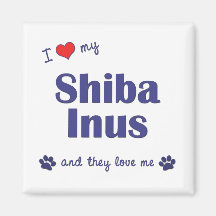 Eu amo meu Shiba Inus (os cães múltiplos) Ima