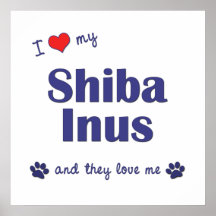 Eu amo meu Shiba Inus (os cães múltiplos) Posteres
