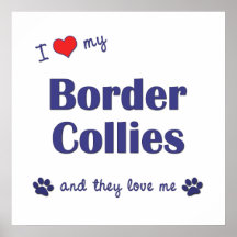 Eu amo meus Collies de beira (os cães múltiplos) Posteres