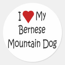 Eu amo meus presentes do amante do cão de montanha adesivos