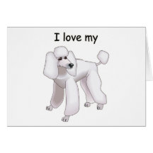 Eu amo minha caniche cartões