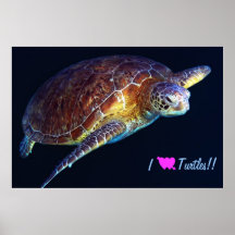 Eu amo o poster das tartarugas