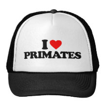 EU AMO PRIMATAS BONÉ