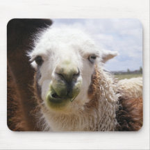 Eu comi o tudo isto Mousepad