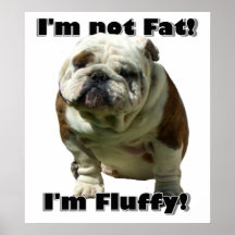 Eu não sou poster gordo do buldogue