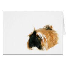 Eu não sou um tribble! cartão