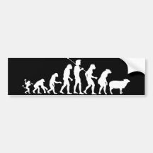 Evolução do autocolante no vidro traseiro das mass adesivos