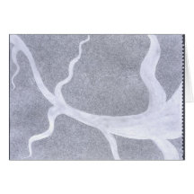 eyevein cartao