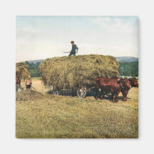 Factura de feno em Nova Inglaterra - vintage 1900 Imãs