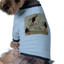 Farmácia esqueletal roupas para pets