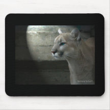 Fascínio Mousepad