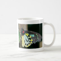 FB 36 CANECA