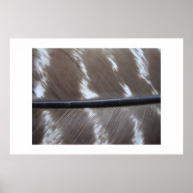 featherphoto 007 poster