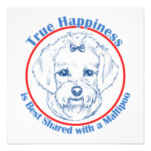 Felicidade verdadeira com um Maltipoo Convite