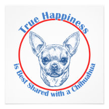 Felicidade verdadeira com uma chihuahua convites