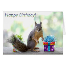 Feliz aniversario do esquilo! cartões