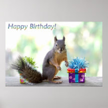 Feliz aniversario do esquilo! posters