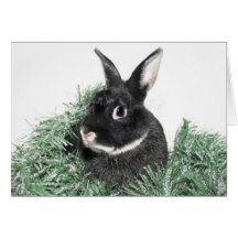 Feriados Hoppy Cartao