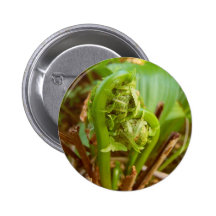 Fiddleheads Pins