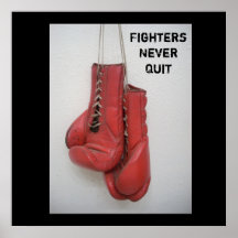 FightersNever parou encaixotar o poster
