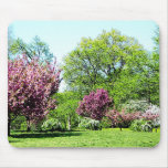 Fileira de árvores de florescência mouse pads
