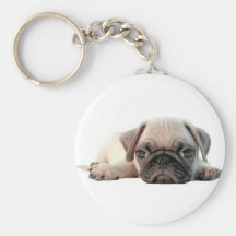 filhote de cachorro adorável do pug chaveiros