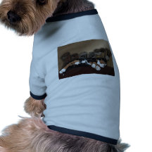 Filhote de cachorro de Hush Roupas Para Cães