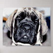 Filhote de cachorro do Mastiff Posters