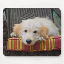 Filhote de cachorro dourado bonito Mousepad do Doo