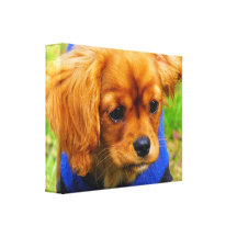 filhote de cachorro impressão de canvas esticada