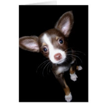 Filhote de cachorro precioso cartão