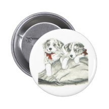 Filhotes de cachorro de border collie botons