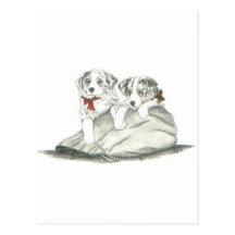 Filhotes de cachorro de border collie cartao postal