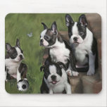 Filhotes de cachorro de Boston Terrier mousepads