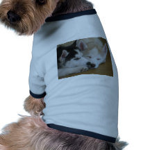 Filhotes de cachorro roncos roupa para cães