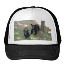 Filhotes de urso preto bone