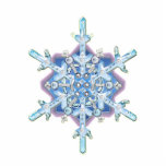 floco de neve esculturafoto