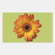 Flor alaranjada ensolarada da flor do gerbera adesivos