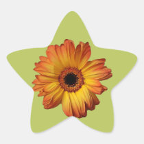 Flor alaranjada ensolarada da flor do gerbera adesivos