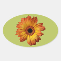Flor alaranjada ensolarada da flor do gerbera adesivos