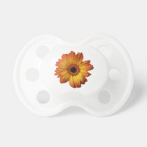 Flor alaranjada ensolarada da flor do gerbera pacifiers