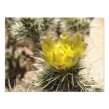Flor amarela bonita artes de fotos