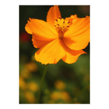 Flor amarela convite personalizados