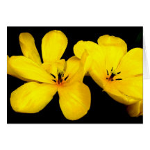 Flor amarela Notecard Cartões