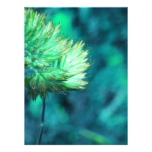 flor foto artes