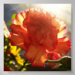 flor cor-de-rosa e alaranjada pôsteres