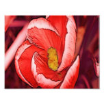 Flor coral bonito do açafrão foto arte