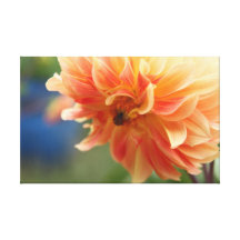 Flor coral impressão de canvas envolvida