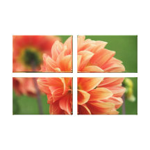 Flor coral impressão de canvas esticadas